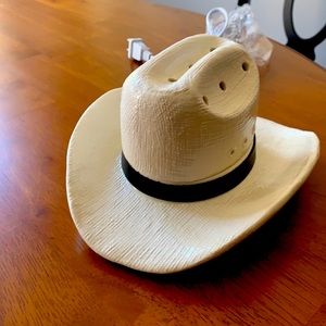 Scentsy  Country Born Warmer